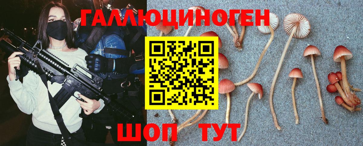 Псилоцибиновые грибы MAGIC MUSHROOMS Усолье-Сибирское