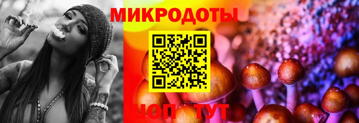 Усолье-Сибирское  Галлюциногенные грибы Psilocybine cubensis  Вход с VPN 